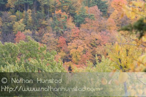 Saint_Croix_River_2008-10-11_IMG_2315